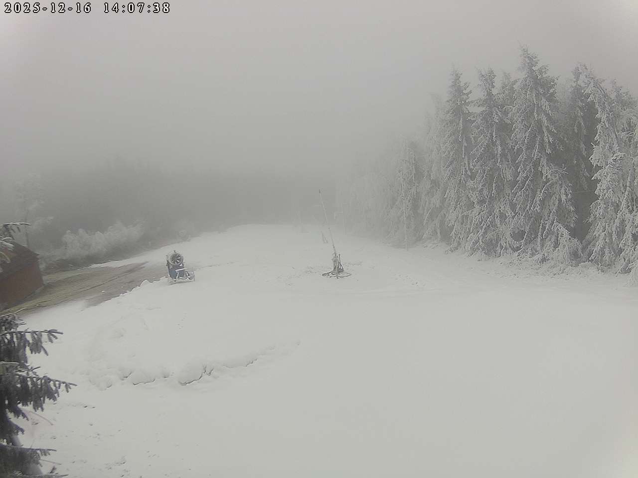 Kamera na żywo - Cerinek